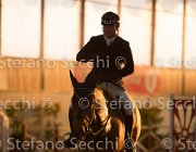 xx FZ TosTour2013- S5 3148 : Arezzo, Arezzo Equestrian Centre, Cavalli d'Italia, Toscana Tour 2013, foto di Stefano Secchi ©, xx FZ
